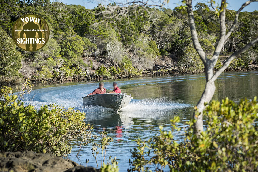 Yowie Sighting Burrum River QLD 2018