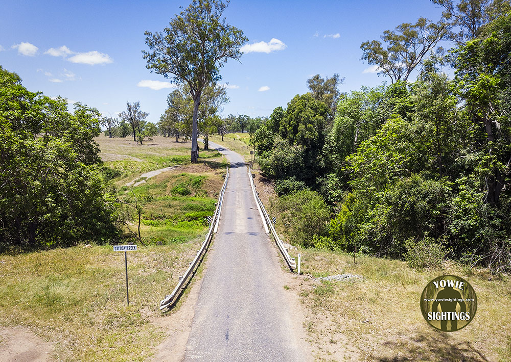 Calgoa Creek Yowie Sighting QLD 2021