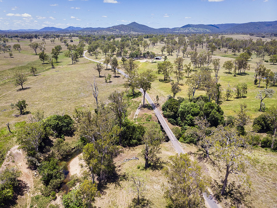 Calgoa creek yowie sighting01