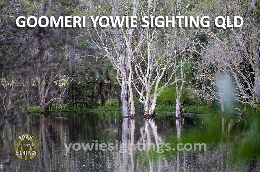 Night Stalker Goomeri Yowie Sighting QLD