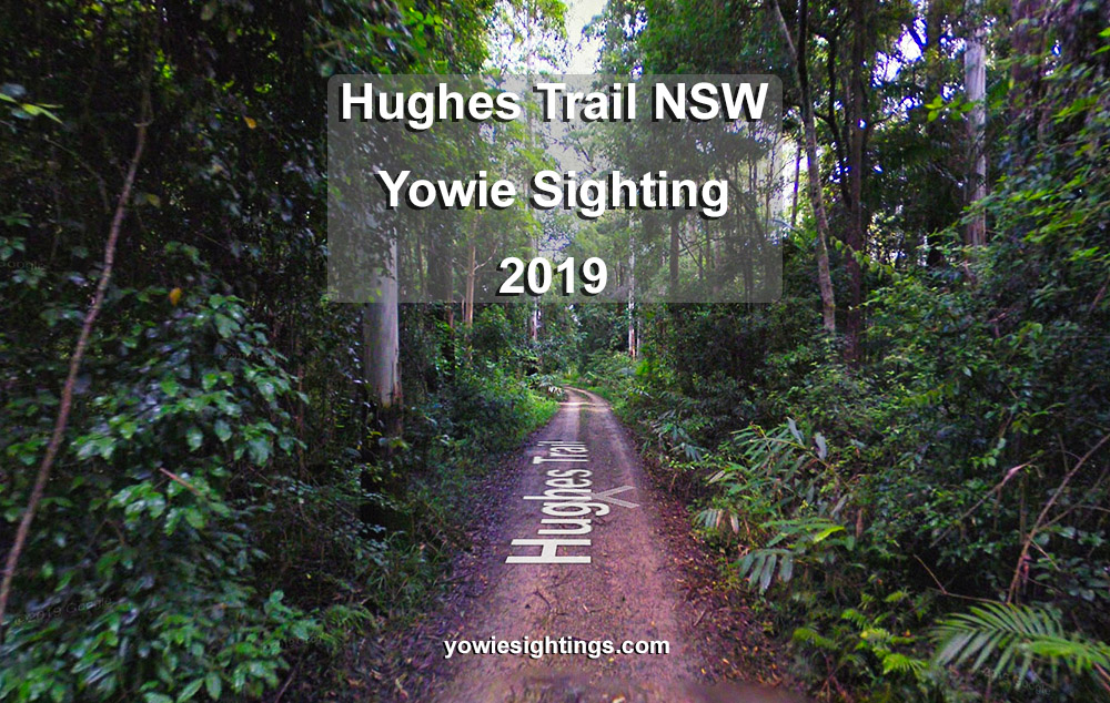 Hughes Trail Yowie 2019