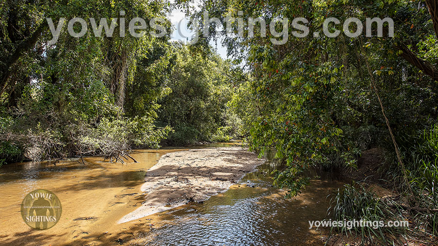 Munna Creek QLD