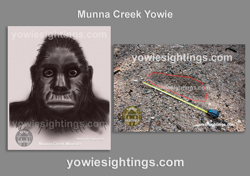 The Munna Creek Monster Yowie Sighting 2022