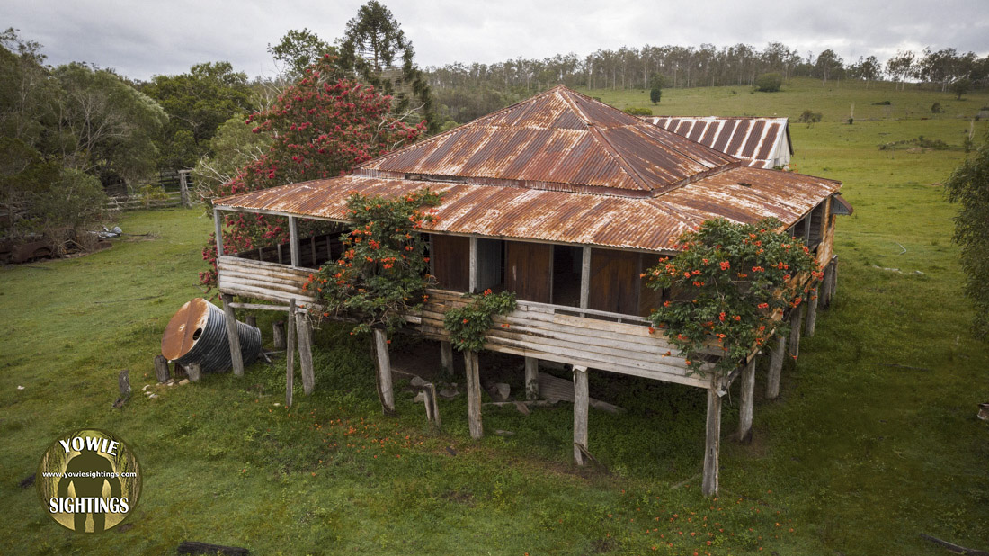 Wongi Forest Yowies sighting Qld 2020